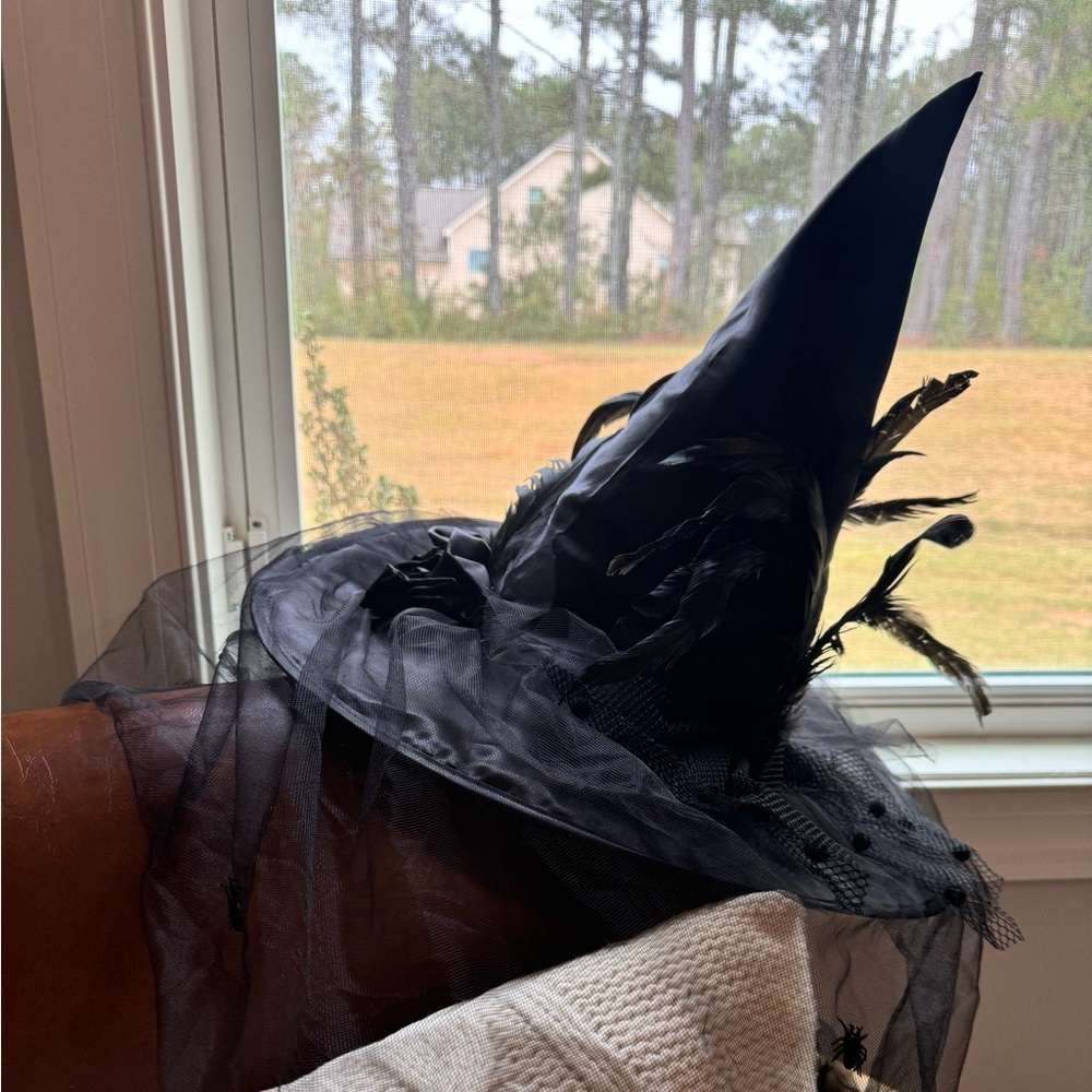 Halloween witches hat
